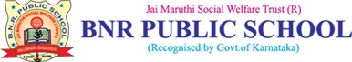 BNR Public School Logo